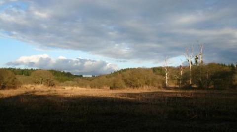 Marais des Guerns (O.Doré)